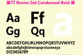 ☠TT Norms Std Condensed Bold