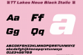 ☠TT Lakes Neue Black Italic