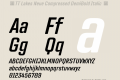 ☠TT Lakes Neue Compressed DemiBold Italic