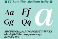 ☠TT Ramillas Medium Italic