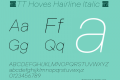 ☠TT Hoves Hairline Italic