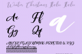 Winter Christmas Italic