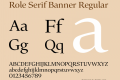 Role Serif Banner