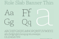 Role Slab Banner