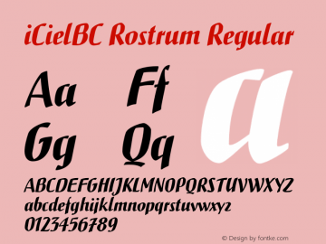 iCielBC Rostrum