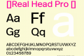 ☞Real Head Pro