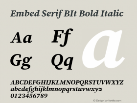 Embed Serif BIt