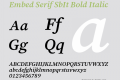 Embed Serif SbIt