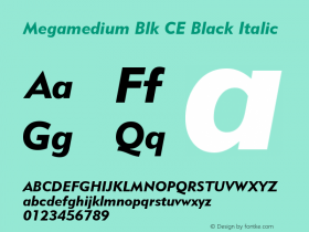 Megamedium Blk CE