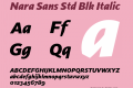 Nara Sans Std Blk