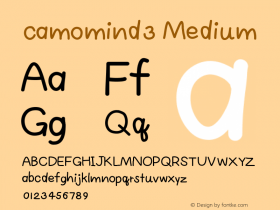camomind3
