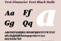 Test Financier Text