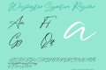 Washington Signature