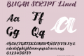 BUGAN SCRIPT