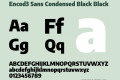 Encod3 Sans Condensed Black