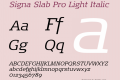 Signa Slab Pro