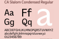 CA Slalom Condensed