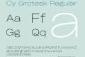 Cy Grotesk