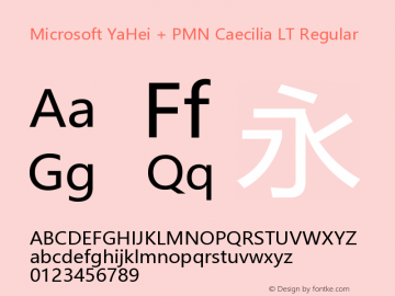 Microsoft YaHei + PMN Caecilia LT