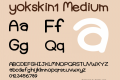 yokskin1