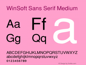 WinSoft Sans Serif