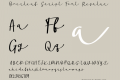 Overleaf Script Font