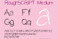 RoughSCRIPT