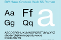 BW Haas Grotesk Web