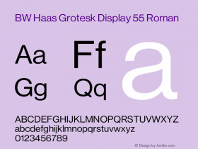 BW Haas Grotesk Display