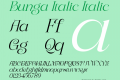 Bunga Italic