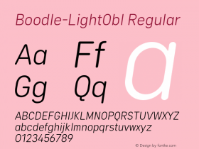 Boodle-LightObl