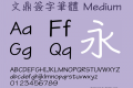 文鼎簽字筆體