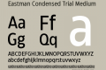 Eastman Condensed Trial