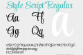 Style Script