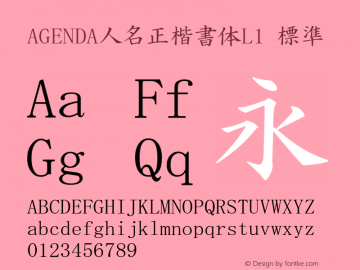 AGENDA人名正楷書体L1