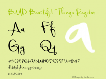 BMD Beautiful Things