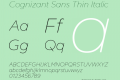 Cognizant Sans