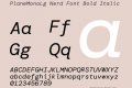 PlaneMonoLg Nerd Font