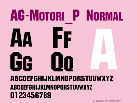 AG-Motori_P