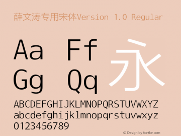 薛文涛专用宋体Version 1.0