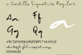 c Castillo Signature