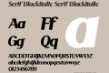 Serif BlackItalic