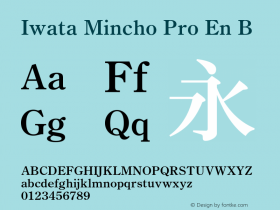 Iwata Mincho Pro En