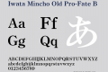 Iwata Mincho Old Pro-Fate