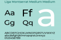 Liga Montserrat Medium