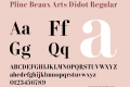 Plinc Beaux Arts Didot