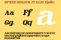 SPEED HOLICK ITALIC