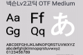 넥슨Lv2고딕 OTF