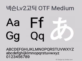 넥슨Lv2고딕 OTF