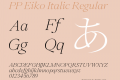 PP Eiko Italic